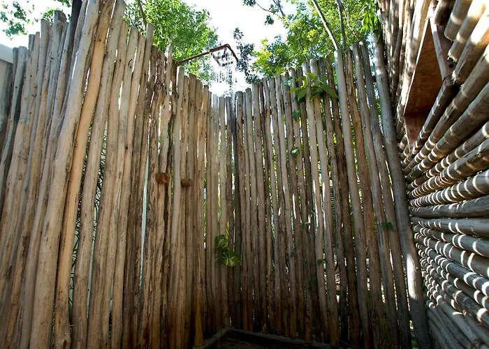 Huaya Camp *